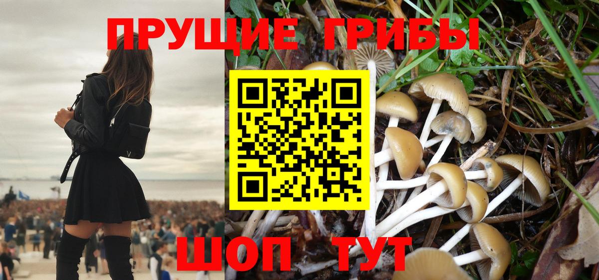 Псилоцибиновые грибы Psilocybine cubensis Нижневартовск