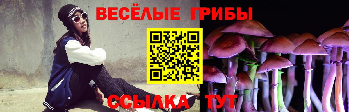 Нижневартовск  Псилоцибиновые грибы Magic Shrooms  Вход с VPN 